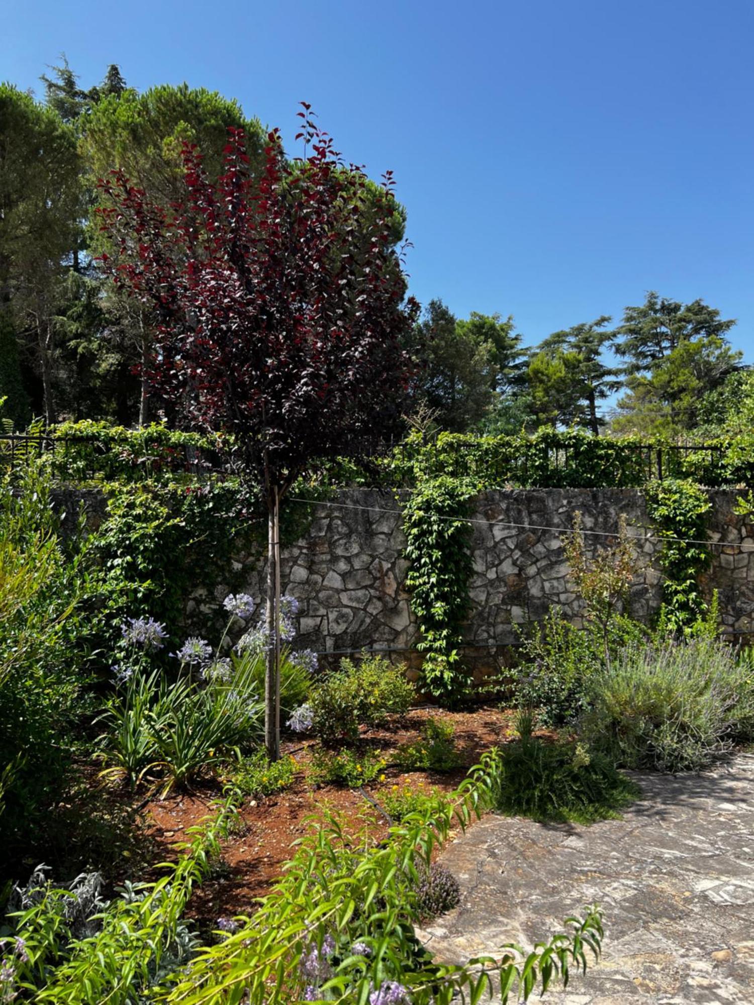 Villa Dimora Di Bari Selva Di Fasano Exterior foto